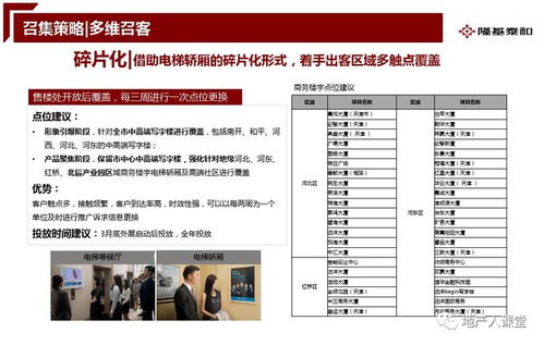 策劃 房地產開盤前營銷推廣執(zhí)行案