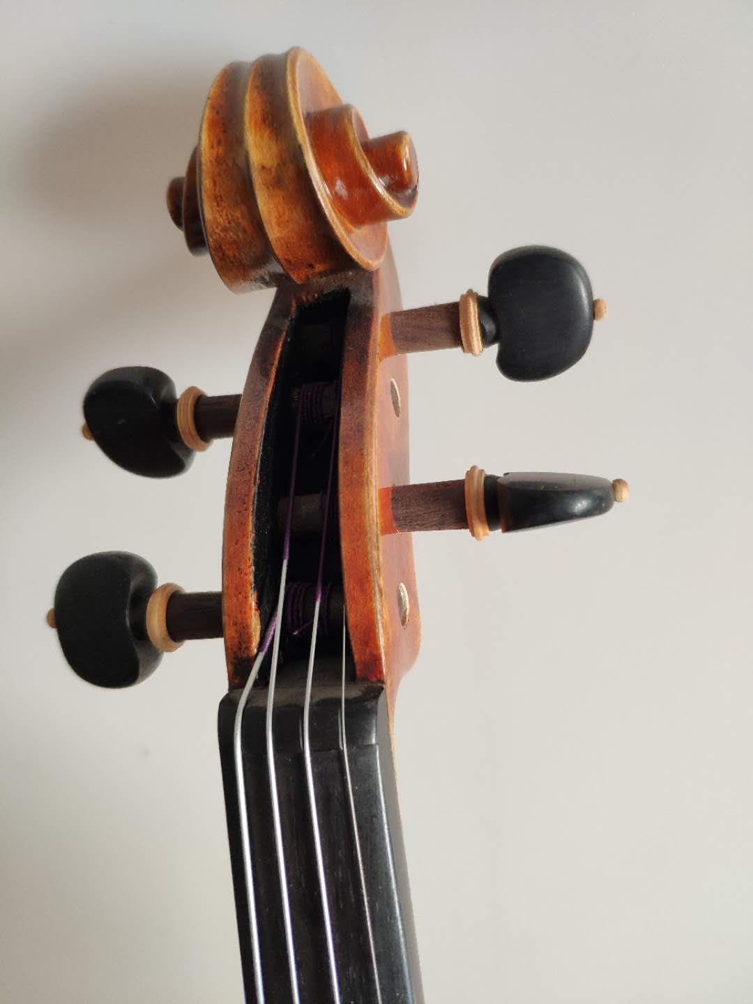 雀眼楓歐料小提琴