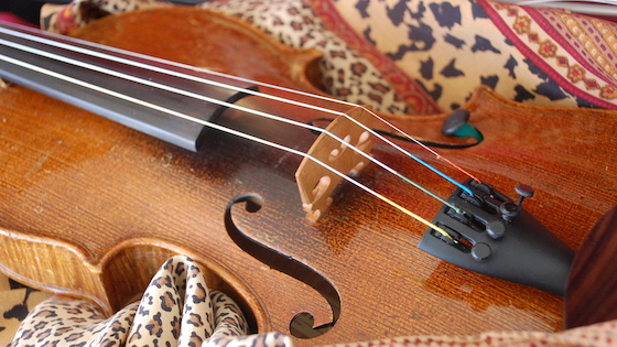 學(xué)習(xí)小提琴的好處