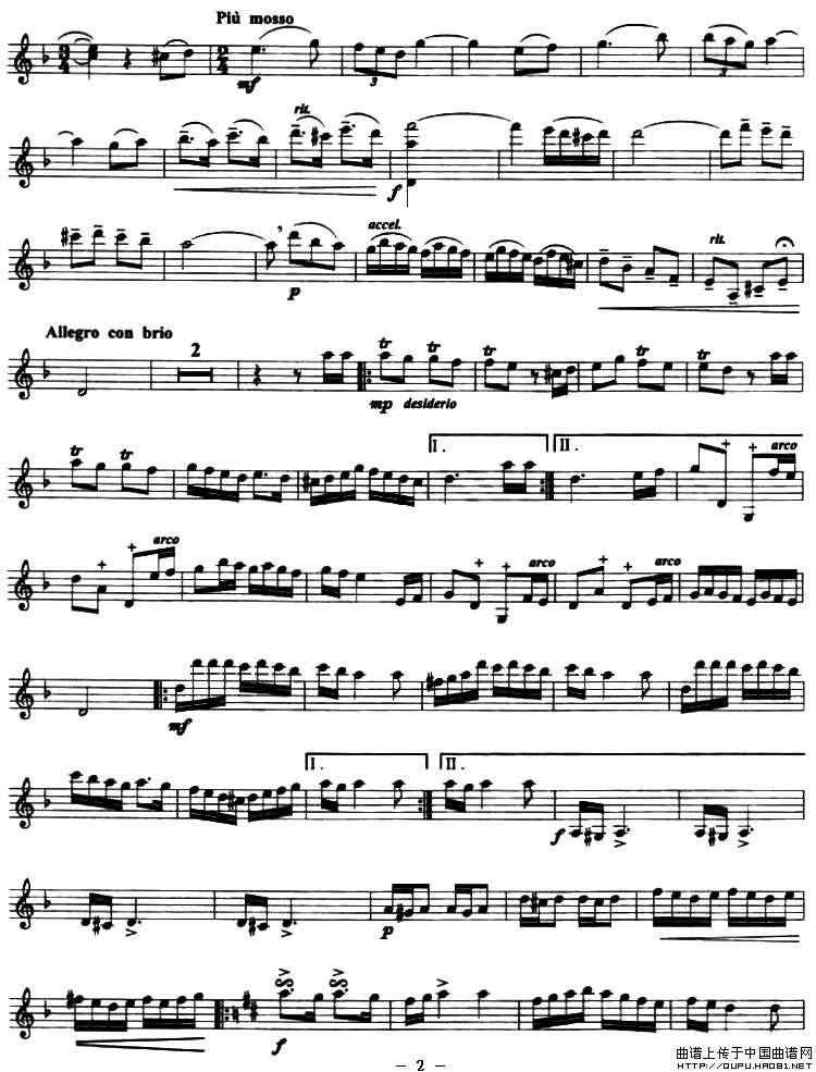 花兒為什么這樣紅