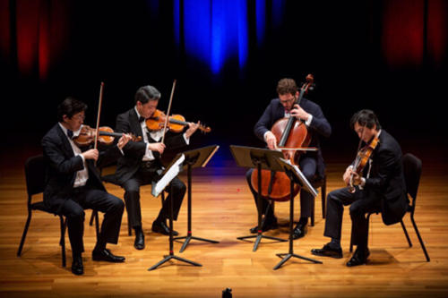 提琴與琴弓的關系