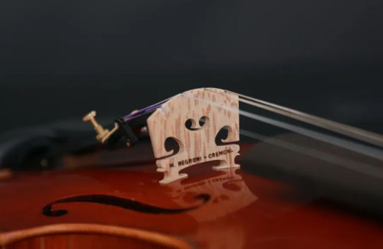 好好對待你的朋友：平日如何保養提琴？