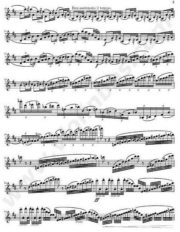 柴可夫斯基D大調(diào)小提琴協(xié)奏曲