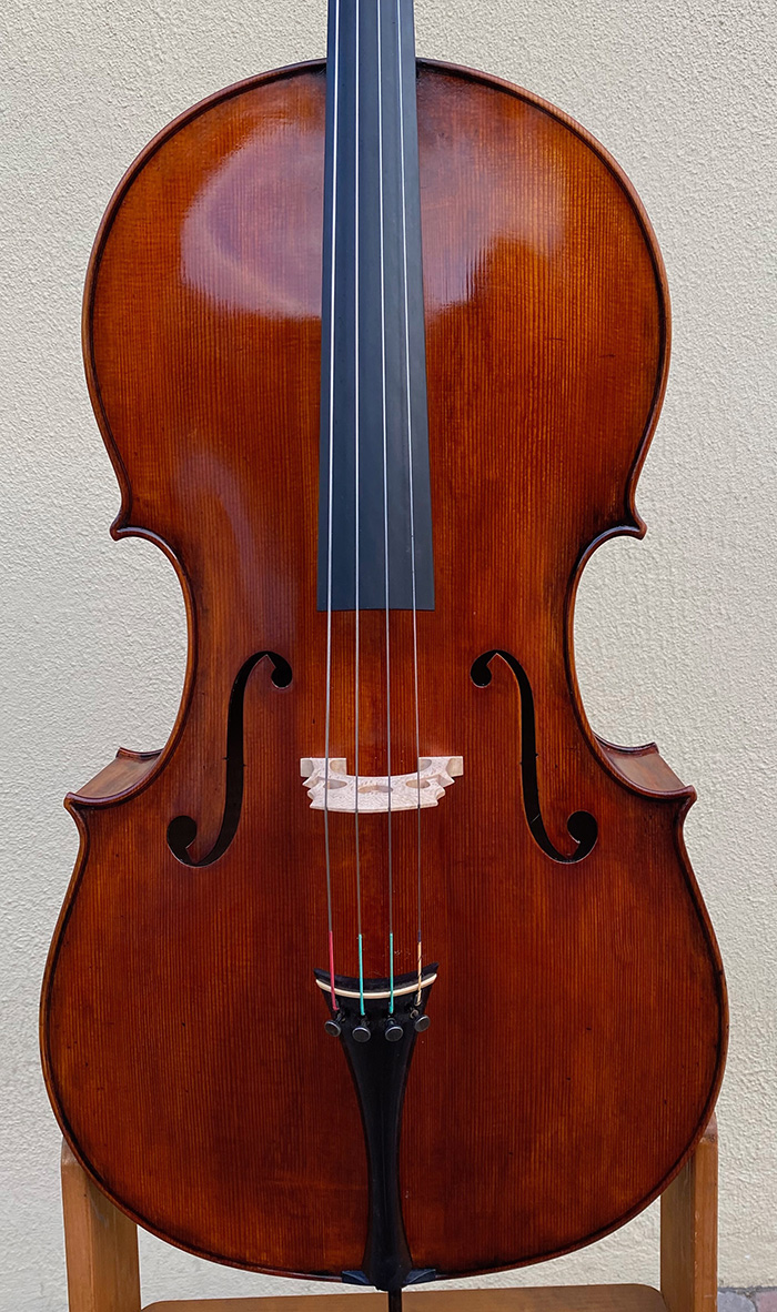 睡美人寬體大提琴