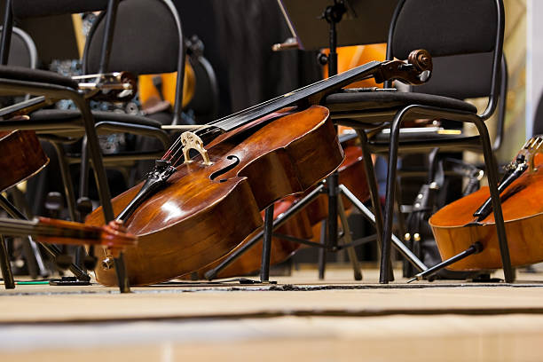 如何保養(yǎng)你的大提琴，這是終極指南，趕緊收藏