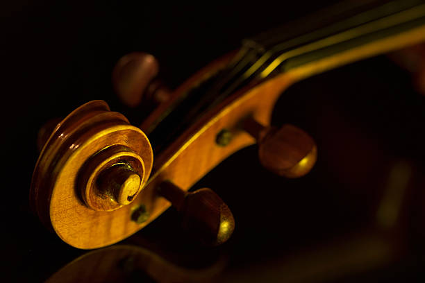 如何保養(yǎng)你的大提琴